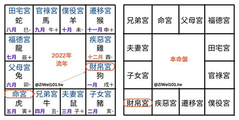 流年流月|紫微斗數怎麼看流月？完整教學讓你輕鬆掌握流月運勢